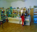 Снимка 3 — Магазин в Габрово, с. Горна Росица
