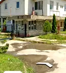 Магазин в Пазарджик, Велин