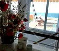 Снимка 5 — Многостаен апартамент в Бургас, Поморие