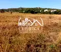 Снимка 2 — Земеделски имот в Благоевград, Благоев