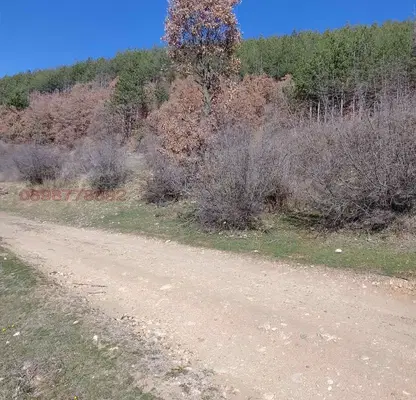 Photo 2 — Agricultural Land in Oblast Blagoevgrad, Simitli