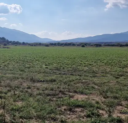 Photo 2 — Agricultural Land in Oblast Blagoevgrad, Banya