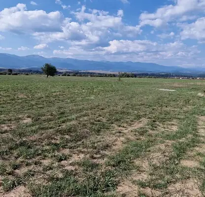 Photo 4 — Agricultural Land in Oblast Blagoevgrad, Banya