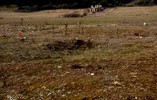 Земеделски имот в Благоевград, с. Баня