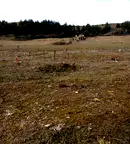 Земеделски имот в Благоевград, с. Баня