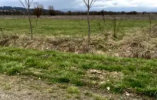 Земеделски имот в Благоевград, с. Баня