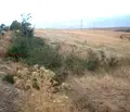 Снимка 5 — Земеделски имот в Благоевград, с. Джигурово