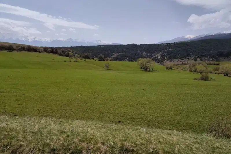 Agricultural Land in Oblast Blagoevgrad, Dobyrsko
