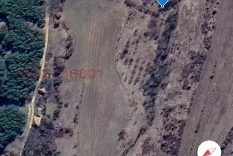 Agricultural Land in Oblast Blagoevgrad, Logodaj