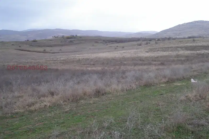 Нива в Благоевград, с. Михнево
