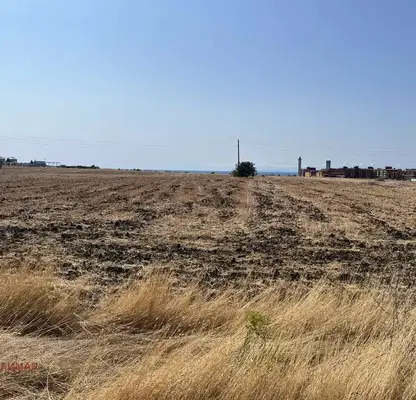 Photo 2 — Agricultural Land in Oblast Burgas, Aheloi