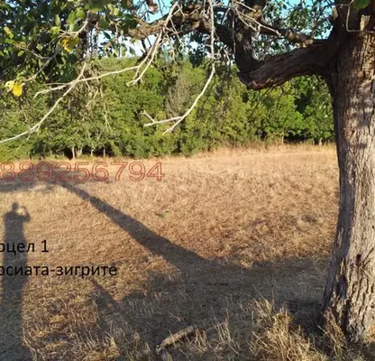 Photo 3 — Agricultural Land in Oblast Burgas, Ahtopol