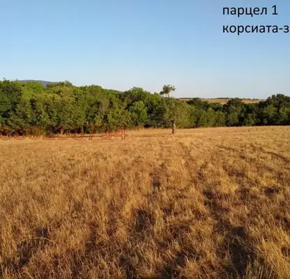 Photo 5 — Agricultural Land in Oblast Burgas, Ahtopol