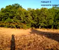 Снимка 5 — Земеделски имот в Бургас, Ахтопол