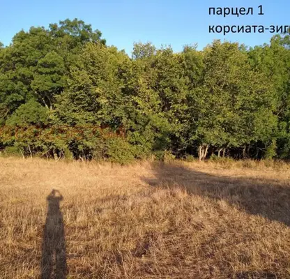 Photo 5 — Arable Land in Burgas, Ahtopol