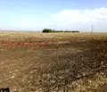 Снимка 3 — Земеделски имот в Бургас, Бургас