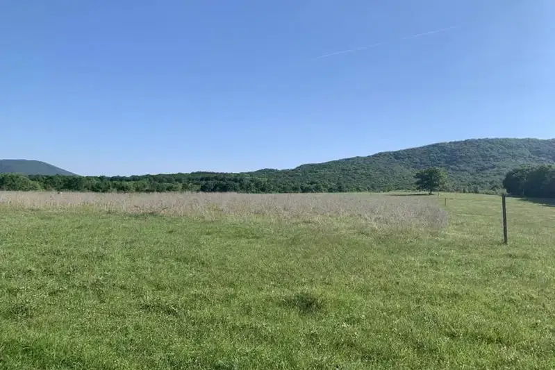 Земеделски имот в Бургас, Царево