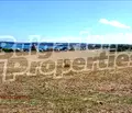 Снимка 4 — Земеделски имот в Бургас, Черноморец