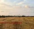 Снимка 4 — Земеделски имот в Бургас, Черноморец