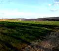 Снимка 4 — Земеделски имот в Бургас, Обзор