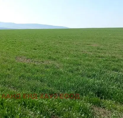 Photo 2 — Agricultural Land in Oblast Burgas, Aleksandrovo