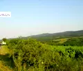 Снимка 5 — Земеделски имот в Бургас, с. Баня