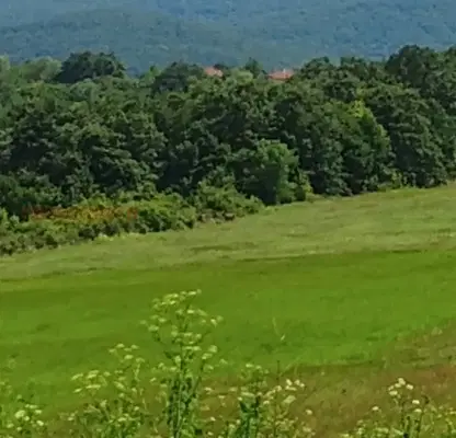 Photo 5 — Agricultural Land in Oblast Burgas, Banya