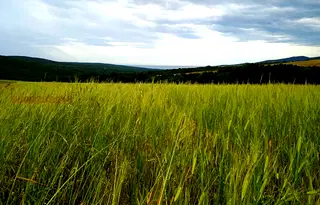Земеделски имот в Бургас, с. Баня