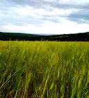 Земеделски имот в Бургас, с. Баня