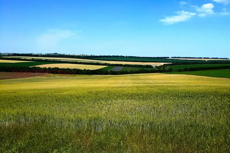 Agricultural Land in Oblast Burgas, Cheresha