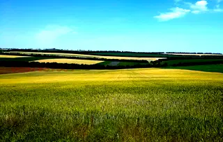 Земеделски имот в Бургас, с. Череша