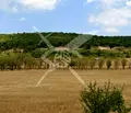 Снимка 2 — Земеделски имот в Бургас, с. Преображенци