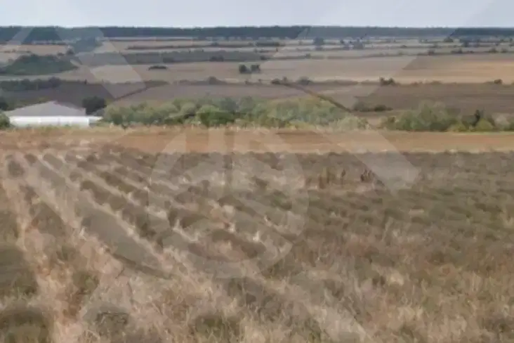 Agricultural Land in Oblast Burgas, Preobrajenci