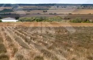 Земеделски имот в Бургас, с. Преображенци