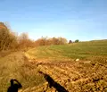 Снимка 3 — Земеделски имот в Бургас, с. Пънчево