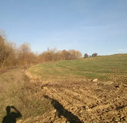 Photo 3 — Agricultural Land in Oblast Burgas, Pynchevo