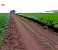 Снимка 3 — Земеделски имот в Бургас, с. Тънково