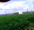 Снимка 4 — Земеделски имот в Бургас, с. Тънково