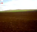 Снимка 3 — Земеделски имот в Бургас, с. Тънково