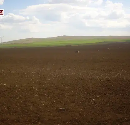 Photo 3 — Agricultural Land in Oblast Burgas, Tynkovo