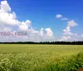 Снимка 2 — Земеделски имот в Добрич, Генерал Тошево