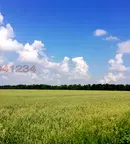 Земеделски имот в Добрич, Генерал Тошево