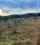 Земеделски имот в Добрич, с. Батово