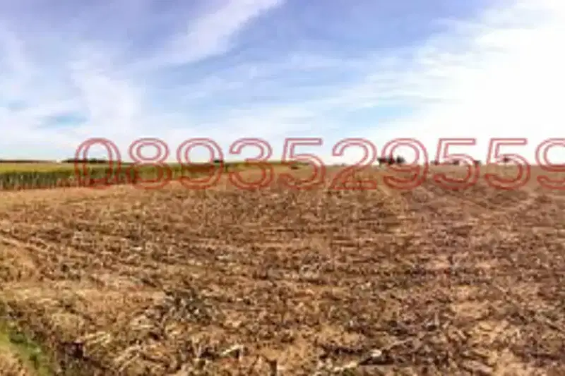 Agricultural Land in Oblast Dobrich, Chestimensko