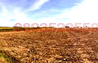 Земеделски имот в Добрич, с. Честименско