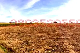 Земеделски имот в Добрич, с. Честименско