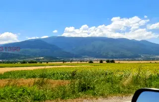 Земеделски имот в Добрич, с. Граничар