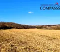 Снимка 2 — Земеделски имот в Добрич, с. Крагулево