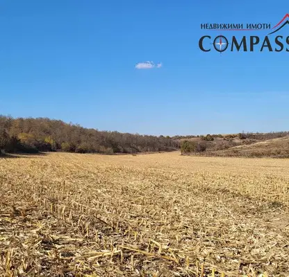 Photo 2 — Agricultural Land in Oblast Dobrich, Kragulevo
