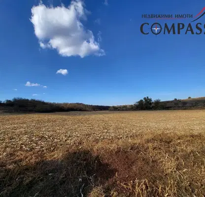 Photo 3 — Agricultural Land in Oblast Dobrich, Kragulevo